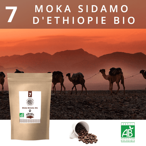 Café en grains Bio Moka Sidamo d'Ethiopie 1Kg