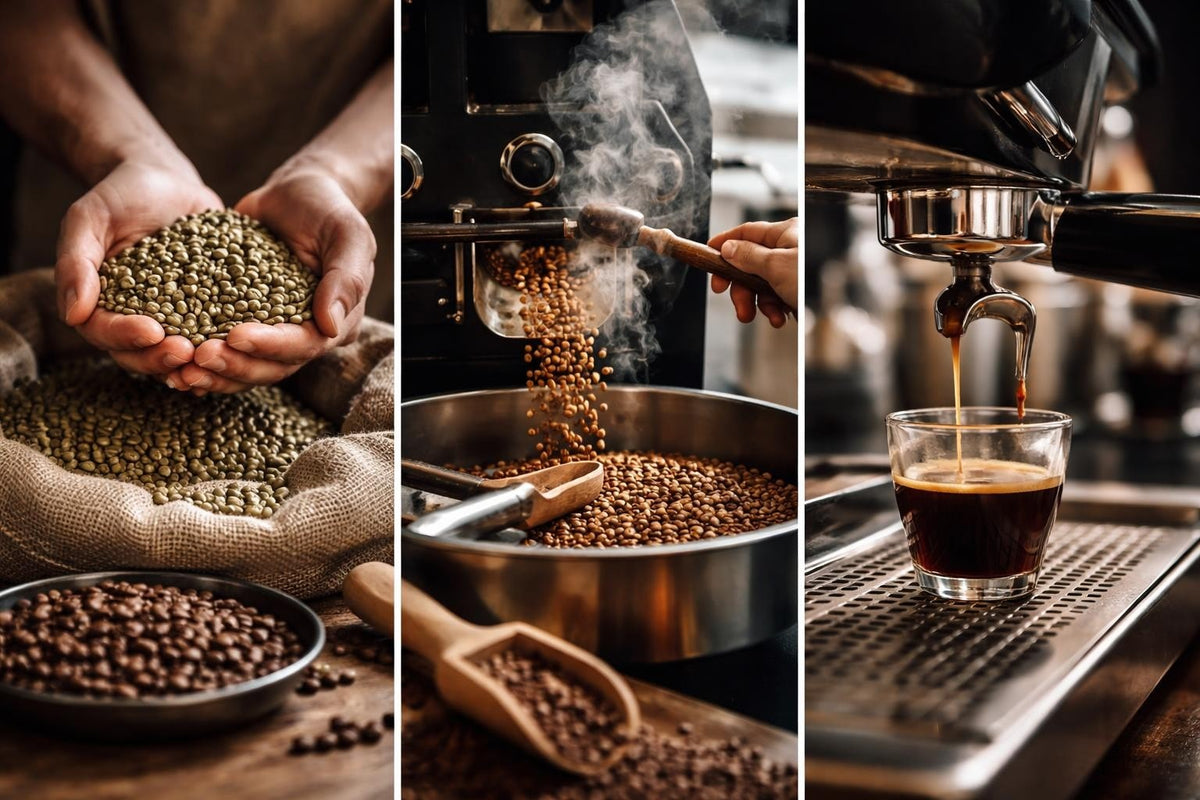 Le Bon Café : Guide Complet pour Choisir et Déguster
