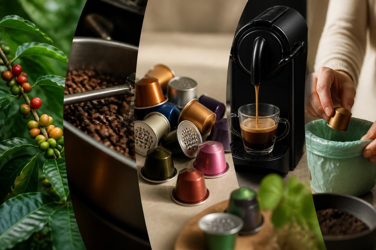 Les Capsules de Café : Guide Complet 2026