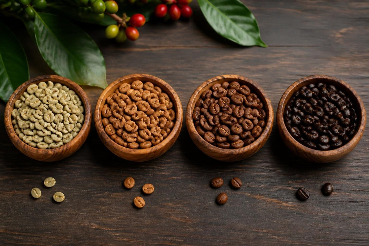 Degrés de Torréfaction : Tout Comprendre sur le Café