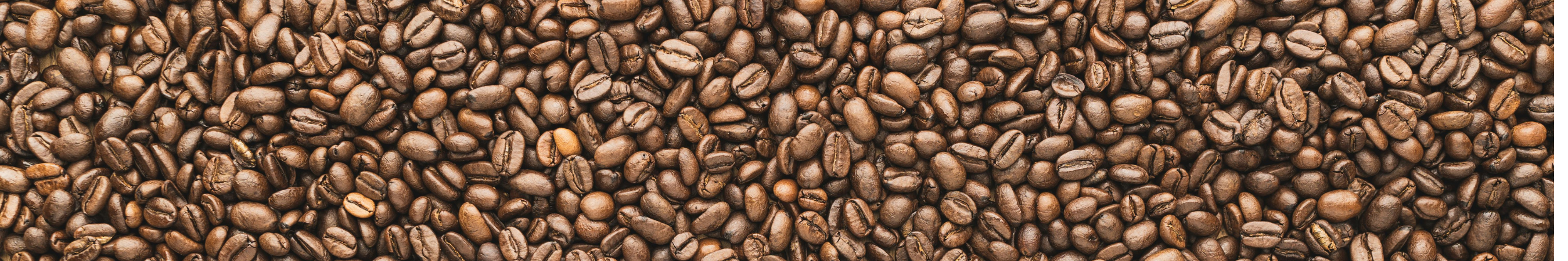 Nos cafés en grains