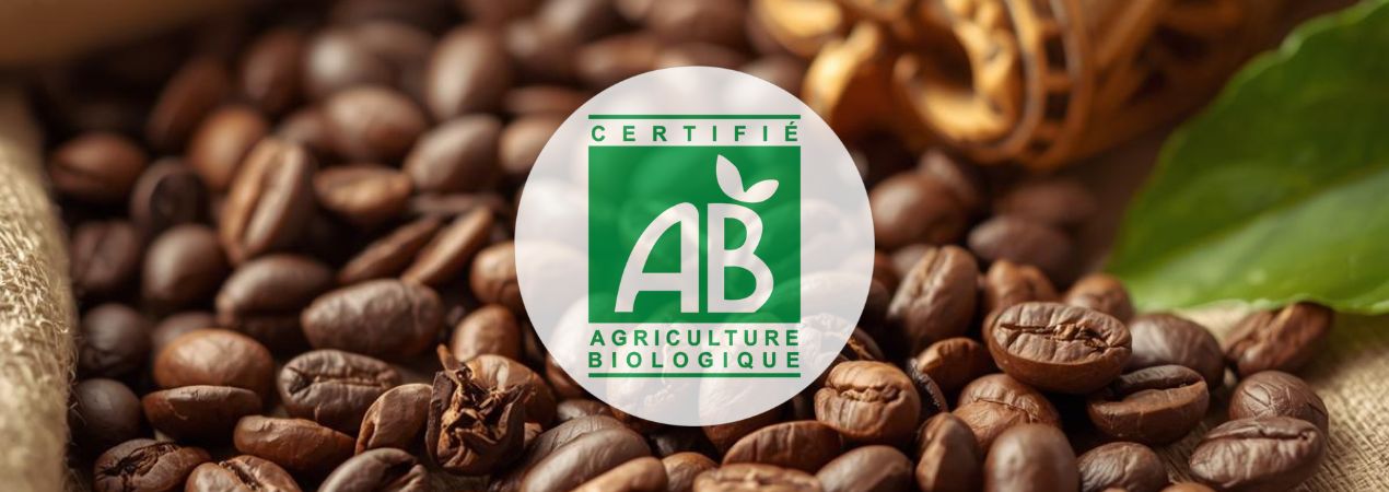 Café en Grains Bio – Honduras, Éthiopie, Colombie et Plus