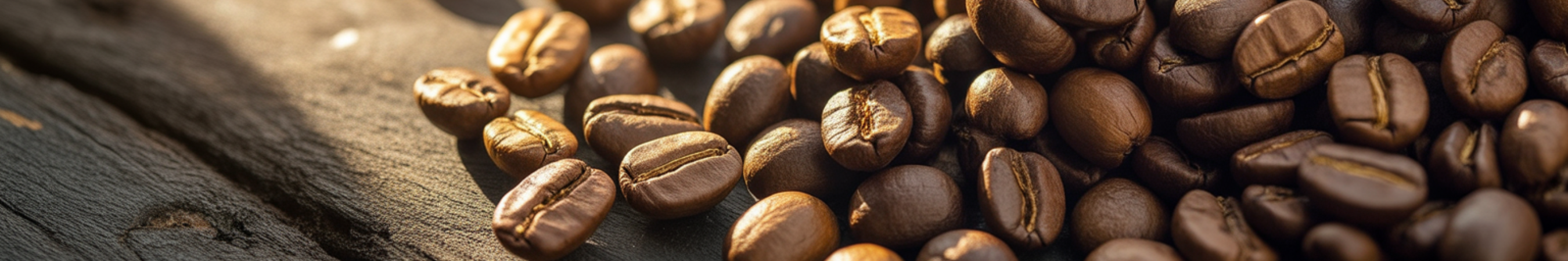 Cafés en grains bio