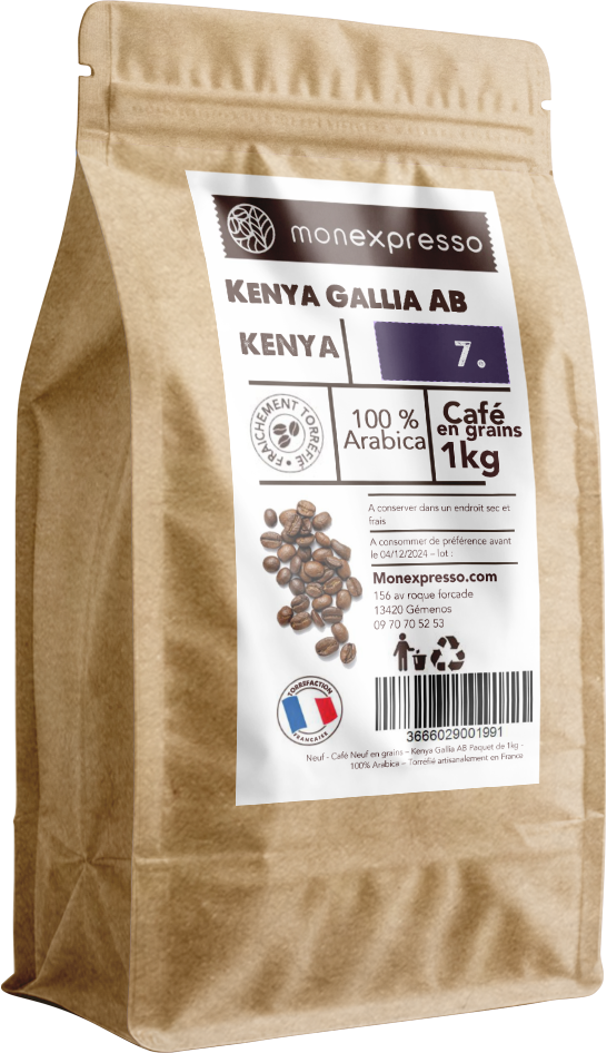 Texte alternatif par défaut